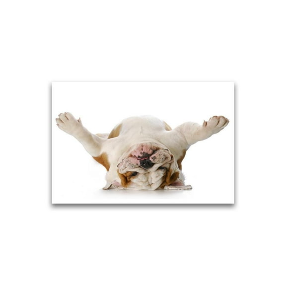 Funny Upside Down Bulldog Poster -Image by Shutterstock