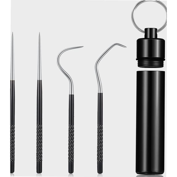 Portable Titanium Toothpicks Pocket Set Reusable Metal Stainless Steel Toothpicks with Holder for Outdoor Picnic and Camping (Black,1 Set)