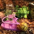 thumbnail image 5 of Reptile Feeder Food Water Bowl Aquarium Ornaments Terrarium Dish for Turtle- Food and Water Bowl with Fence, 5 of 12