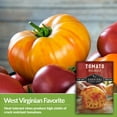 3 packs Hillbilly Tomato Seeds - Non-GMO Heirloom Full Sun Annual Vegetable - Survival Garden