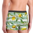 thumbnail image 3 of Uemuo Lemon Pattern Men's Boxer Briefs,Trunk Anti-Chafing,Comfortable, Durable, and Stylish Underwear-Medium, 3 of 9