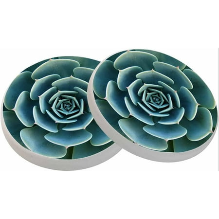 

Green Succulent Plant Coasters for Drinks Absorbent Set of 2 Cute Plump Rustic House Warming Gifts New Home for Table Protection 4 Inch