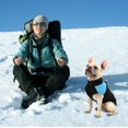 thumbnail image 5 of Chaqueta de plumón para perros (L), Abrigos de invierno para perros Ropa para perros Chaqueta para mascotas Chaleco para perros Abrigos cálidos para perros pequeños y medianos, 5 of 5