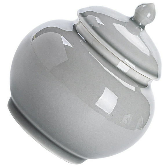 WINOMO Ceramic Tea Storage Jar with Lid for Kitchen Grey Canister for Sugar Coffee or Tea 6.3 Inches