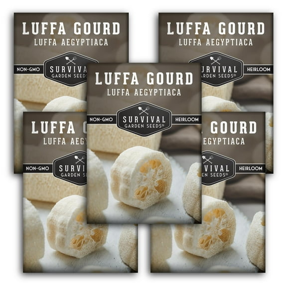 5 Packs Luffa or Loofah Seeds - Non-GMO Heirloom Full Sun Annual