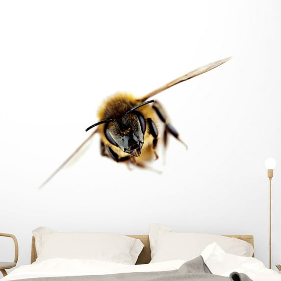 Honey Bee Flight Wall Decal by Wallmonkeys Peel and Stick Graphic (48 in W x 32 in H) WM156685