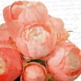 thumbnail image 2 of Kimberly, Allen 26x26 White Modern Wood Framed Museum Art Print Titled - Peony Bunch, 2 of 4