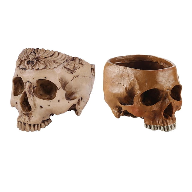 2x Resina Cráneo Maceta Estatua Maceta Maceta Escritorio Decoraciones Halloween Sharpla Modelo de resina Cráneo humano