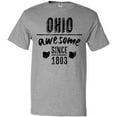 thumbnail image 3 of Inktastic Ohio Awesome Since 1803 T-Shirt, 3 of 5