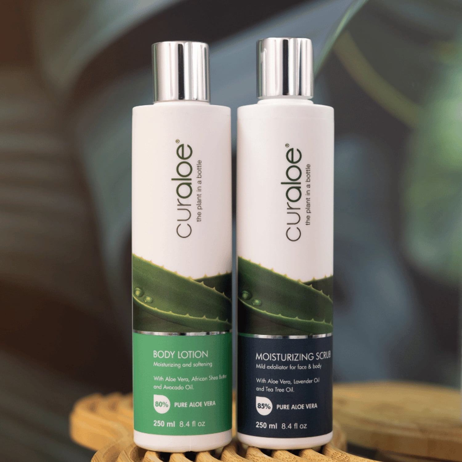 Body Lotion Daily Moisturizing