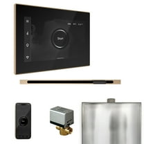 Mr Steam XButler Steam Shower Pkg w/iSteamX Control and Linear Steamhead in Black Brushed Bronze