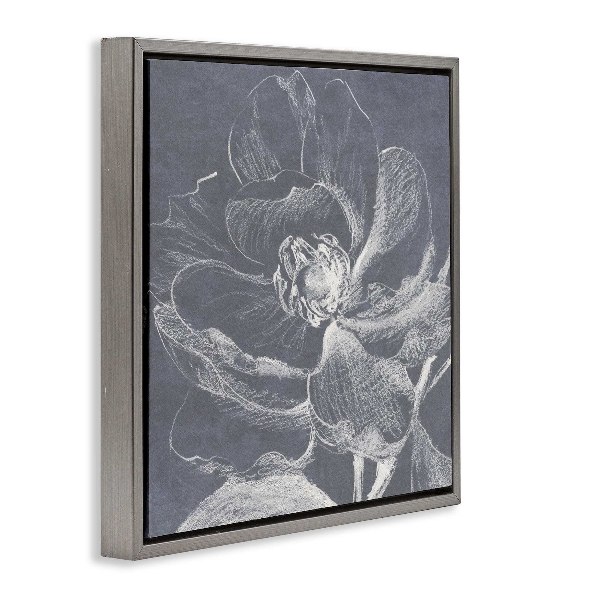 Stupell Industries Magnolia Sketch Impression Plants & Flowers Drawing Gray Floater Framed Canvas Art Print Wall Art, 25 x 25