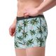 thumbnail image 2 of Balery Flamingos And Palms Calzoncillos bóxer para hombre, ropa interior de algodón suave y transpirable con cinturilla de nailon-Medium, 2 of 5