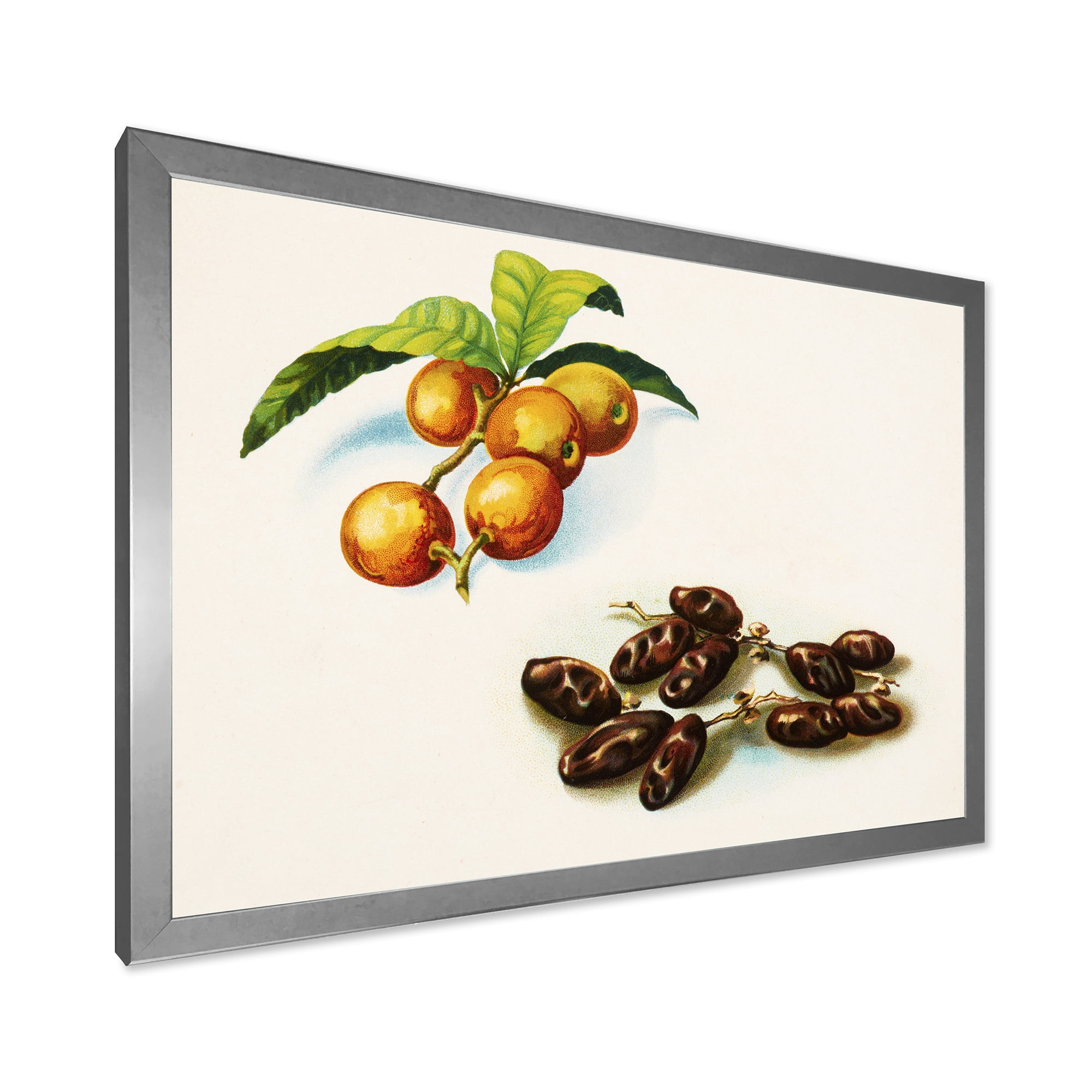 Designart 'Ancient Fruits IV' Farmhouse Framed Art Print