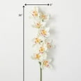 thumbnail image 4 of Sullivans Artificial White Orchid Stem 36"H White, 4 of 4