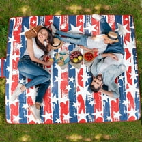 Flyingstar 70'' x 80" Lightweight Picnic Blankets for 5-6 Adults