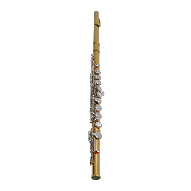 Keys C Flute 16 Keys Instrument Kit for Beginner Students with Carrying Case Tuning Rod Cloth Bracket Gloves Screwdriver