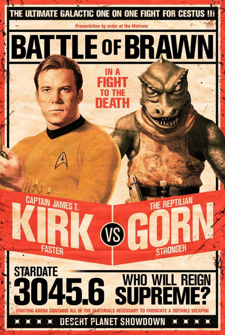 Star Trek Classic Kirk And Spock 24x36 Poster 