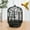 Black, variant on European Style Large Round Bird Cage Portable Outdoor Hanging Balcony Pet Home Metal Travel Habitat for Lovebirds Conures