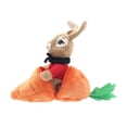 thumbnail image 3 of Way To Celebrate Flopsy Rabbit in Carrot, 3 of 8