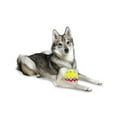 thumbnail image 7 of Midlee Plush Easter Egg Dog Toy with Squeaker (Green)-Large, 7 of 7