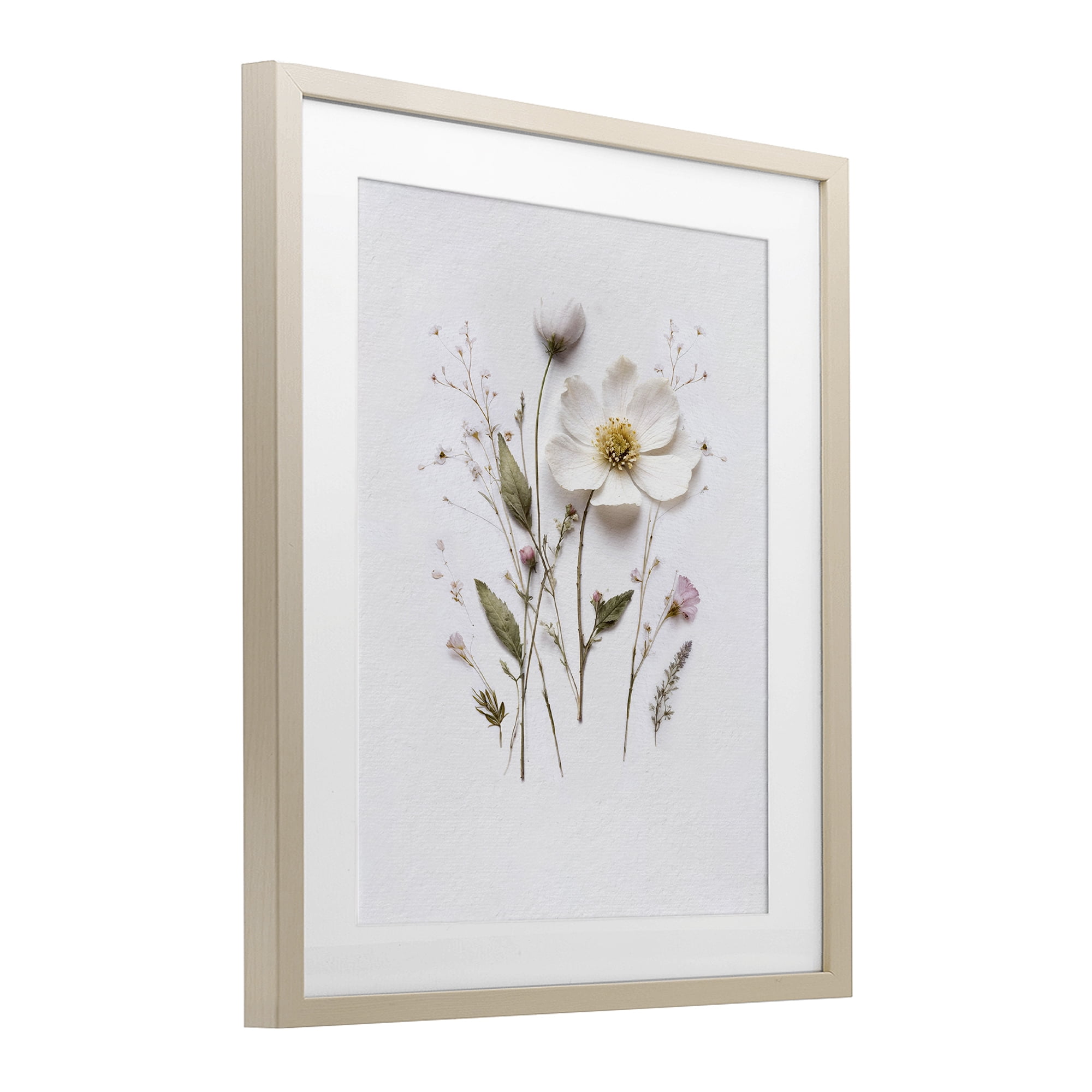 Delicate Pressed Flower Sprigs Birch Framed Print Under Glass, design by Lettered and Lined