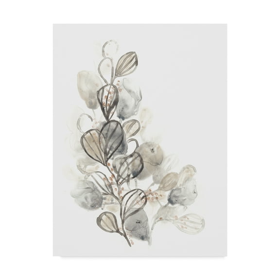 Trademark Fine Art 'Neutral Botany II' Canvas Art by June Erica Vess