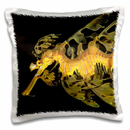 3dRose A leafy seadragon, Phycodurus eques, Esperance, Western Australia, Pillow Case, 16 by 16-inch