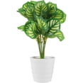 thumbnail image 1 of Plantas falsas Hojas artificiales de sandía Planta en maceta Simulación Plantas en maceta Decoración, 1 of 6