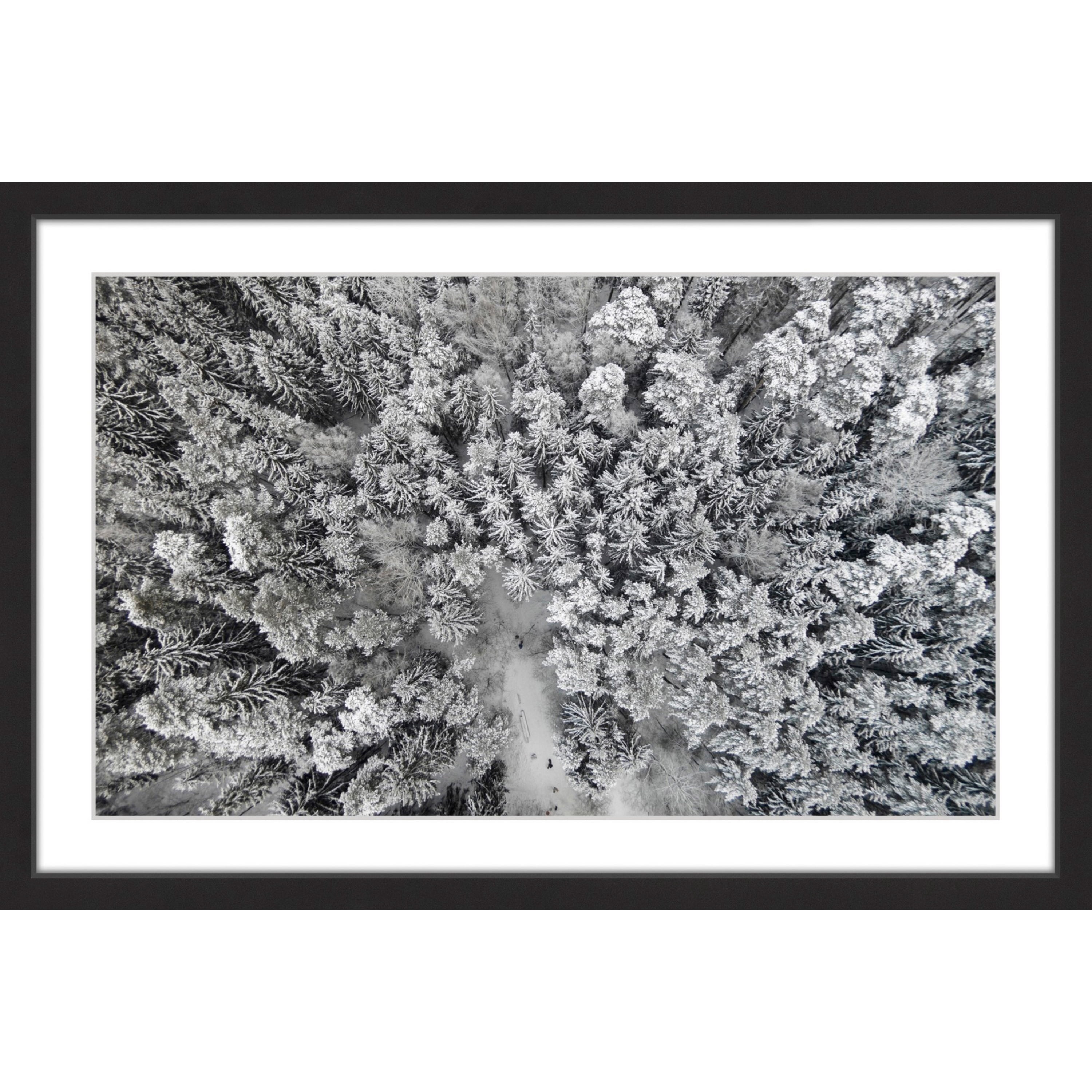 Marmont Hill "Frozen Friends" By Karolis Janulis Framed Painting Art Print, 24.0" x 1.5"