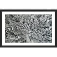 thumbnail image 3 of Marmont Hill "Frozen Friends" By Karolis Janulis Framed Painting Art Print, 45.0" x 1.5", 3 of 5