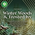 thumbnail image 2 of Air Wick Vibrant Plug-In Scented Oil Air Freshener Warmer Refills, Winter Woods and Frosted Ivy, 5 Count, 2 of 7