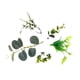 thumbnail image 4 of Ramo de simulación con cola de dragón de hierba, caja de regalo con adorno de hoja de eucalipto, hoja de dinero, bolsa de floristería, 4 of 5