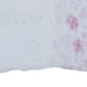 thumbnail image 4 of Cortinas transparentes de voile con estampado de árboles, cenefas para ventanas, divisores de puertas, 100 cm x 200 cm, con bolsillo para varilla Púrpura, 4 of 9