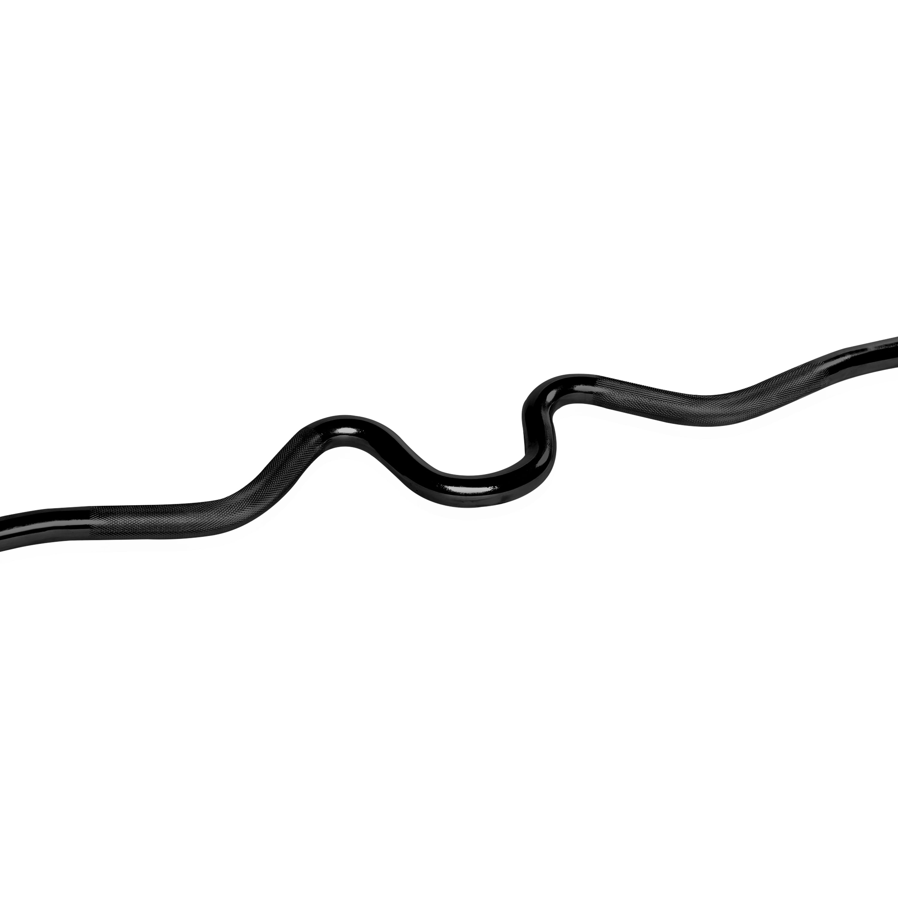 CAP Barbell Standard 1-Inch Threaded Solid Super Curl Bar, Black