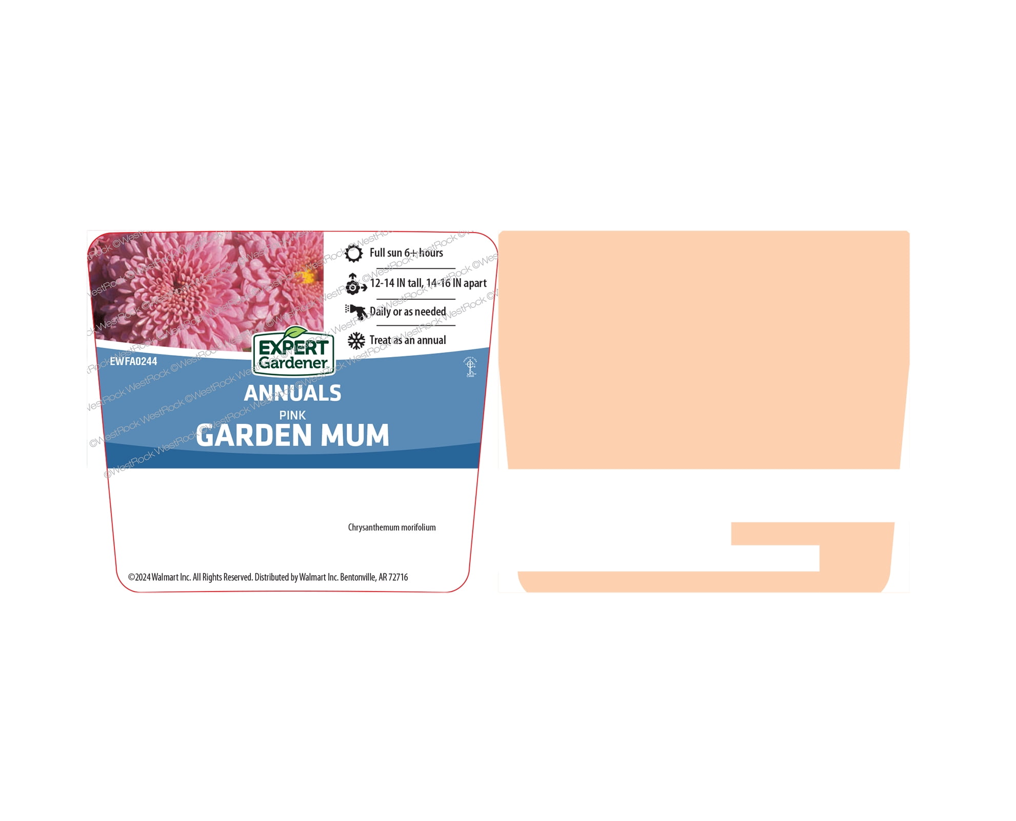 Expert Gardener 3QT Mum Pink