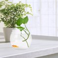 thumbnail image 4 of KALLORY Unbreakable Fish Tank Desktop Design PET Material Suitable For Turtles 1Pcs, 4 of 8
