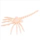 thumbnail image 5 of 3X Modelo de Facehugger, Accesorio de Película Totalmente Articulado, Figura Coleccionable, Decoración de Terror de Ficción, 5 of 8