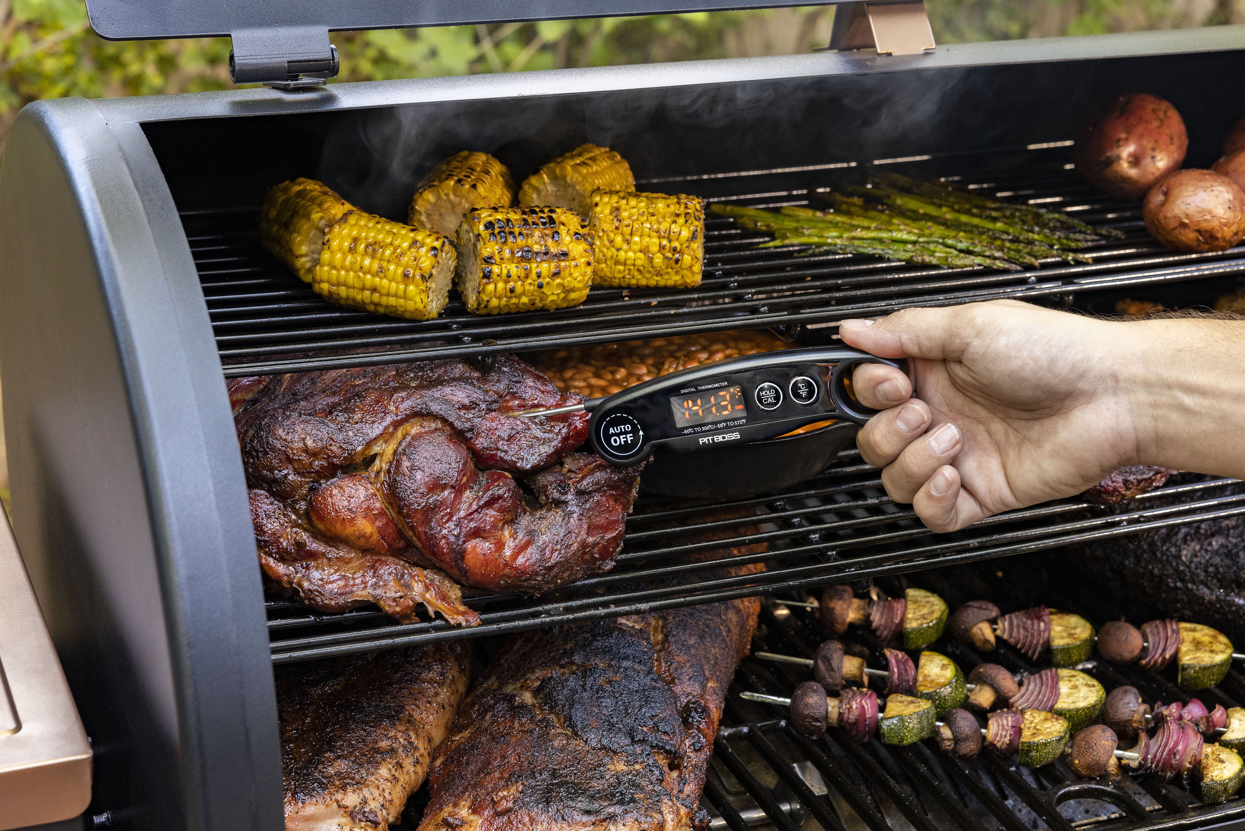 Pit Boss Remote Grill Thermometer Plastic Accessory Kit in the Grilling  Tools & Utensils department at