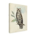thumbnail image 2 of Trademark Fine Art 'UA CH Meyer Scops-Eared Owl' Canvas Art by H. L. Meyer, 2 of 4