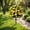 L, variant on 51CM Artificial Yellow Azalea Bush with Ground Stake, UV Resistant Faux Flower Shrub, Fake Floral Pick for Garden Patio Yard Cemetery Outdoor Landscaping Decor