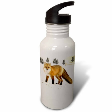

Fractalius Red Fox 21 oz Sports Water Bottle wb-18454-1