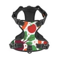 thumbnail image 4 of Bingfone Vegetables No Pull Dog Vest Harness For Small Medium Large Dogs Strap For Puppy Walking,Training,Dog Harness-X-Large, 4 of 9