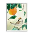 thumbnail image 4 of Stupell Industries Bird Perched Orange Fruit Tree Branch Leaves Painting White Framed Art Print Wall Art, Design by Robin Maria, 4 of 5
