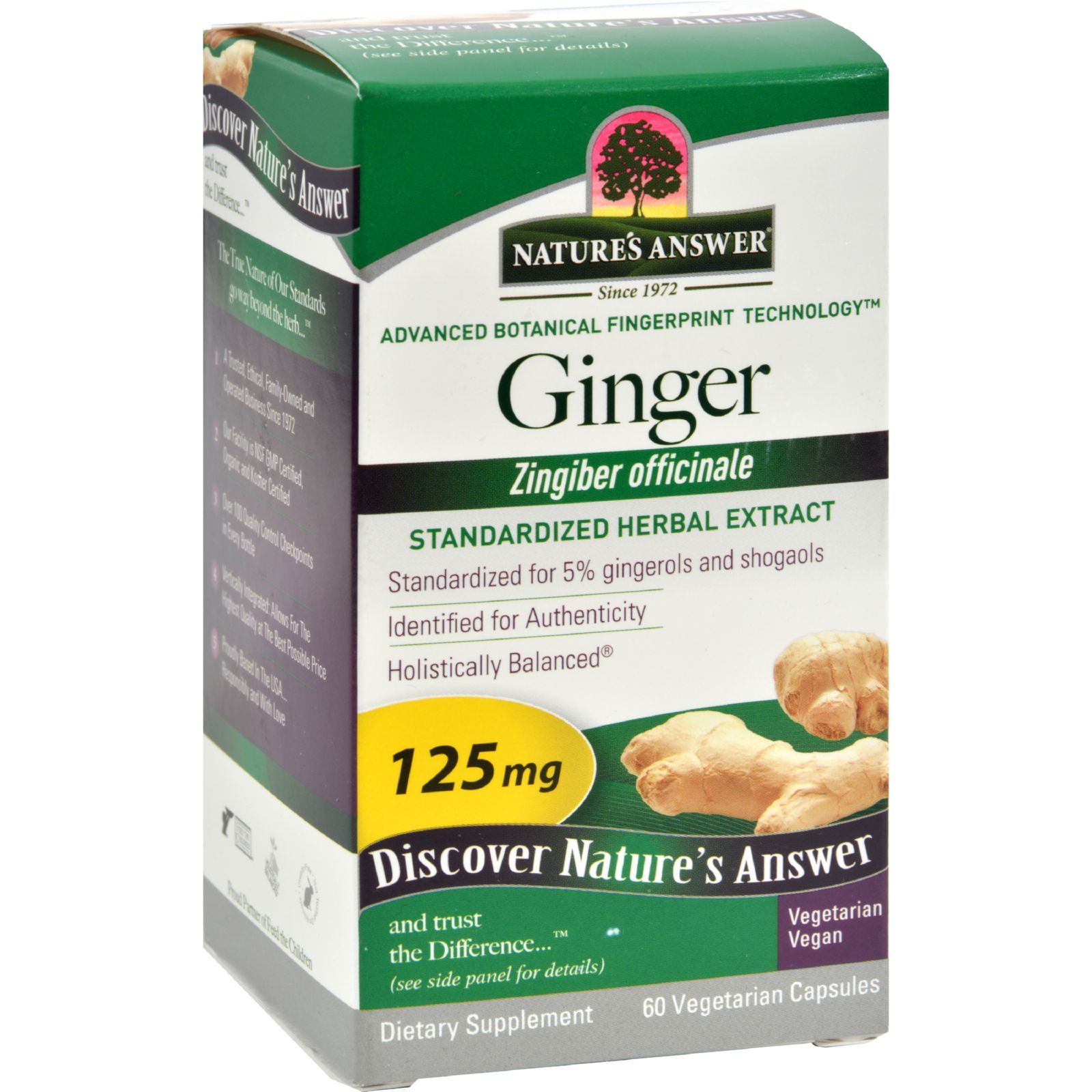 Nature's Answer Ginger Rhizome 60 Vegetarian Capsules