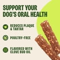 thumbnail image 5 of Wellness WHIMZEES Veggie Strip Natural Dog Dental Treat, Chews, Freshens Breath, Medium Size, 14.81 oz Bag, 14 Count, 5 of 9