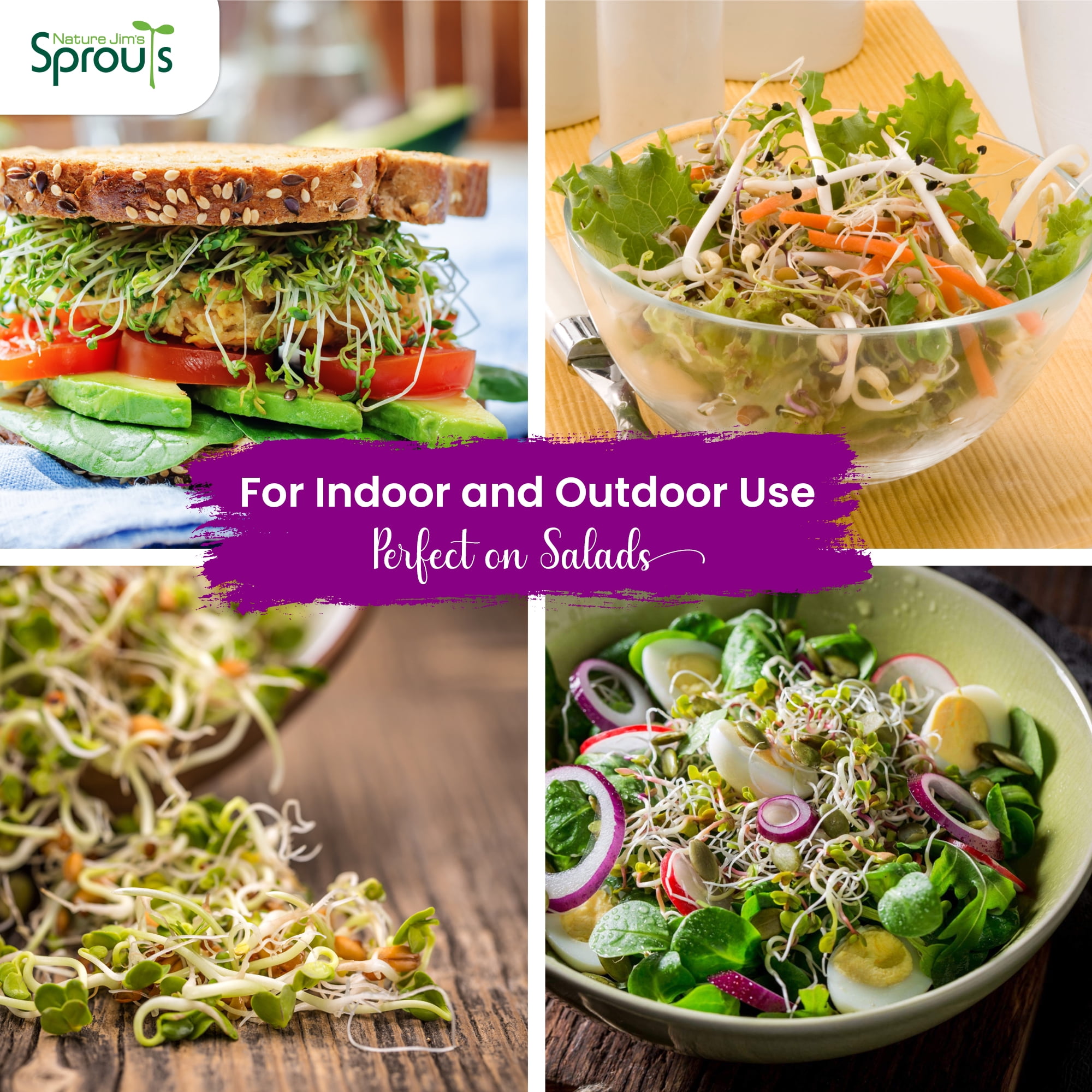 Nature Jim's 8 oz Broccoli Sprout Seeds, Organic Sulforaphane-Rich
