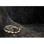 During a volcanic eruption in the Chinese province of Yixian, a Mei long curls up beside the roots of a tree to shelter from the rain of ashes. Barremian, Early Cretaceous. Poster Print