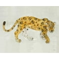 thumbnail image 2 of Hristova, Albena 14x12 White Modern Wood Framed Museum Art Print Titled - Big Cat I v2, 2 of 4