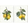 thumbnail image 1 of Great Art Now Lemon Branch by Albena Hristova 2 Piece Canvas Art Set Each 12"W x 15"H, 1 of 3